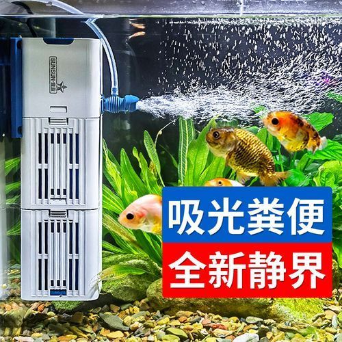 森森過濾系統有哪些型號推薦？，森森s-3000系列過濾系統推薦 森森過濾系統有哪些型號推薦？，森森s-3000系列過濾系統推薦 龍魚百科 第10張
