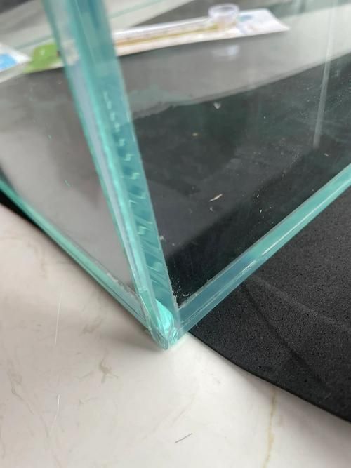 如何判斷龍魚缸的品牌真?zhèn)危浚獧?quán)威鑒別指南 如何判斷龍魚缸的品牌真?zhèn)危浚獧?quán)威鑒別指南 龍魚百科 第12張