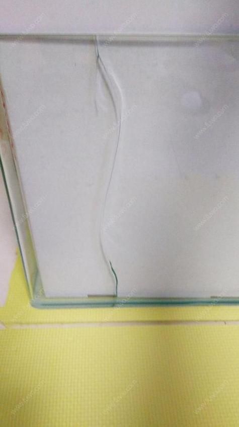 如何判斷龍魚缸的品牌真?zhèn)危浚獧?quán)威鑒別指南 如何判斷龍魚缸的品牌真?zhèn)危浚獧?quán)威鑒別指南 龍魚百科 第11張