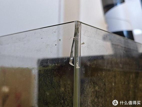 如何判斷龍魚缸的品牌真?zhèn)危浚獧?quán)威鑒別指南 如何判斷龍魚缸的品牌真?zhèn)危浚獧?quán)威鑒別指南 龍魚百科 第8張