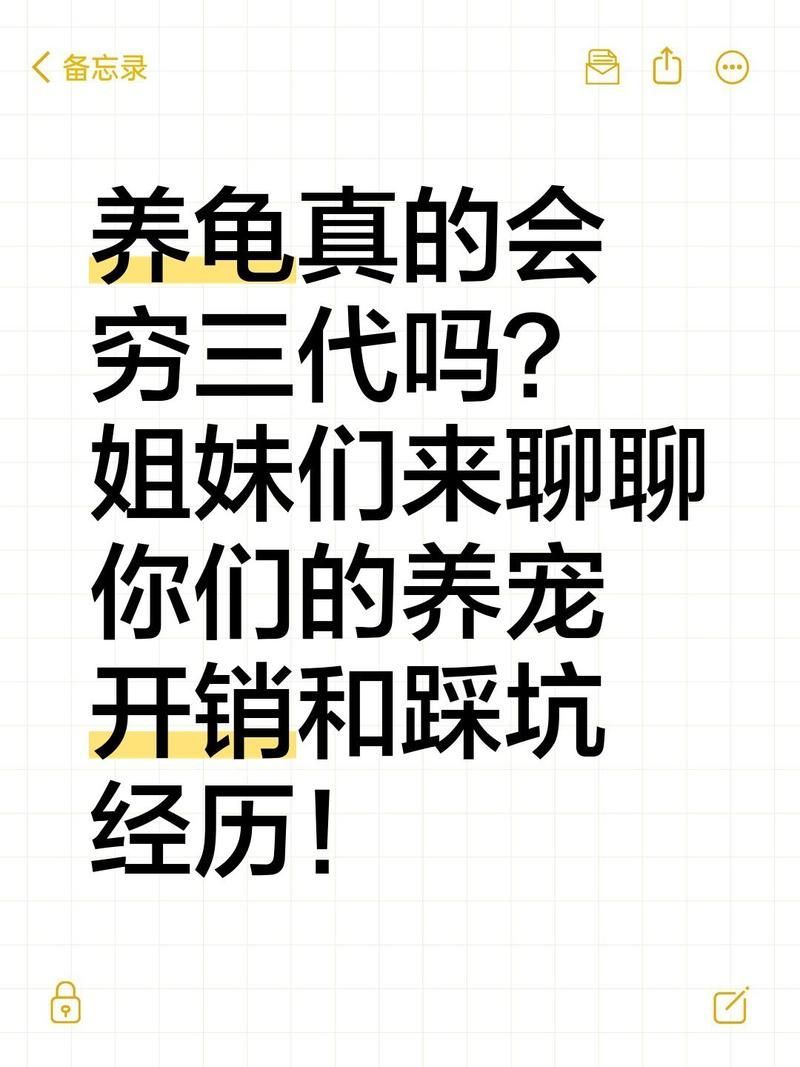 養(yǎng)龜窮三代是否真實，養(yǎng)龜“窮三代”真的會窮三代嗎？ 養(yǎng)龜窮三代是否真實，養(yǎng)龜“窮三代”真的會窮三代嗎？ 龍魚百科 第2張