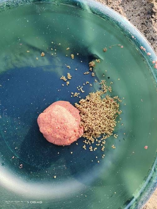 如何制作新鮮餌料，北京釣魚餌料制作新鮮餌料制作方案（1000字+實拍圖解） 如何制作新鮮餌料，北京釣魚餌料制作新鮮餌料制作方案（1000字+實拍圖解） 龍魚百科 第6張