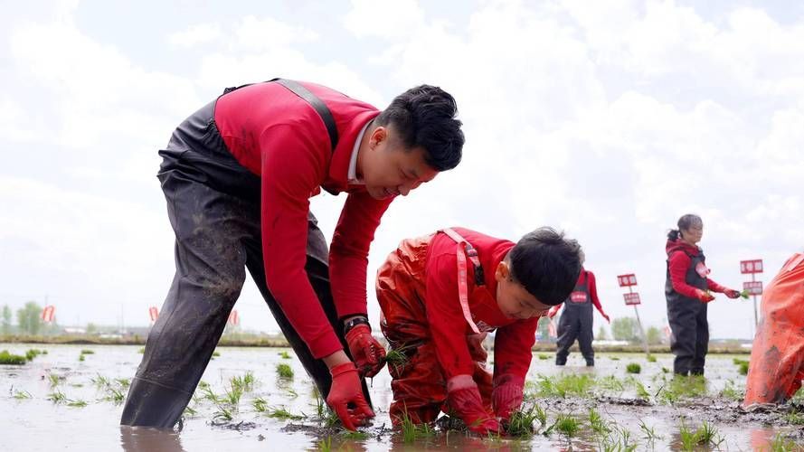金龍魚基地有哪些特色活動，金龍魚基地會定期開放親子研學(xué)親子研學(xué)活動的特色活動