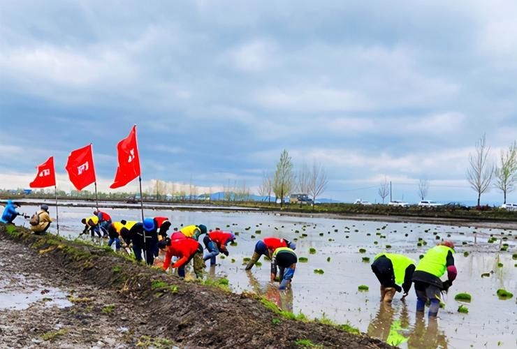 金龍魚基地有哪些特色活動，金龍魚基地會定期開放親子研學(xué)親子研學(xué)活動的特色活動