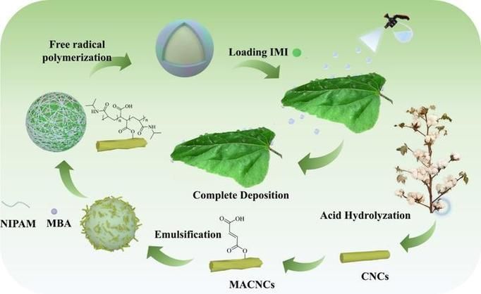 哪些情況下不適用土霉素治療，土霉素不適用于土霉素治療