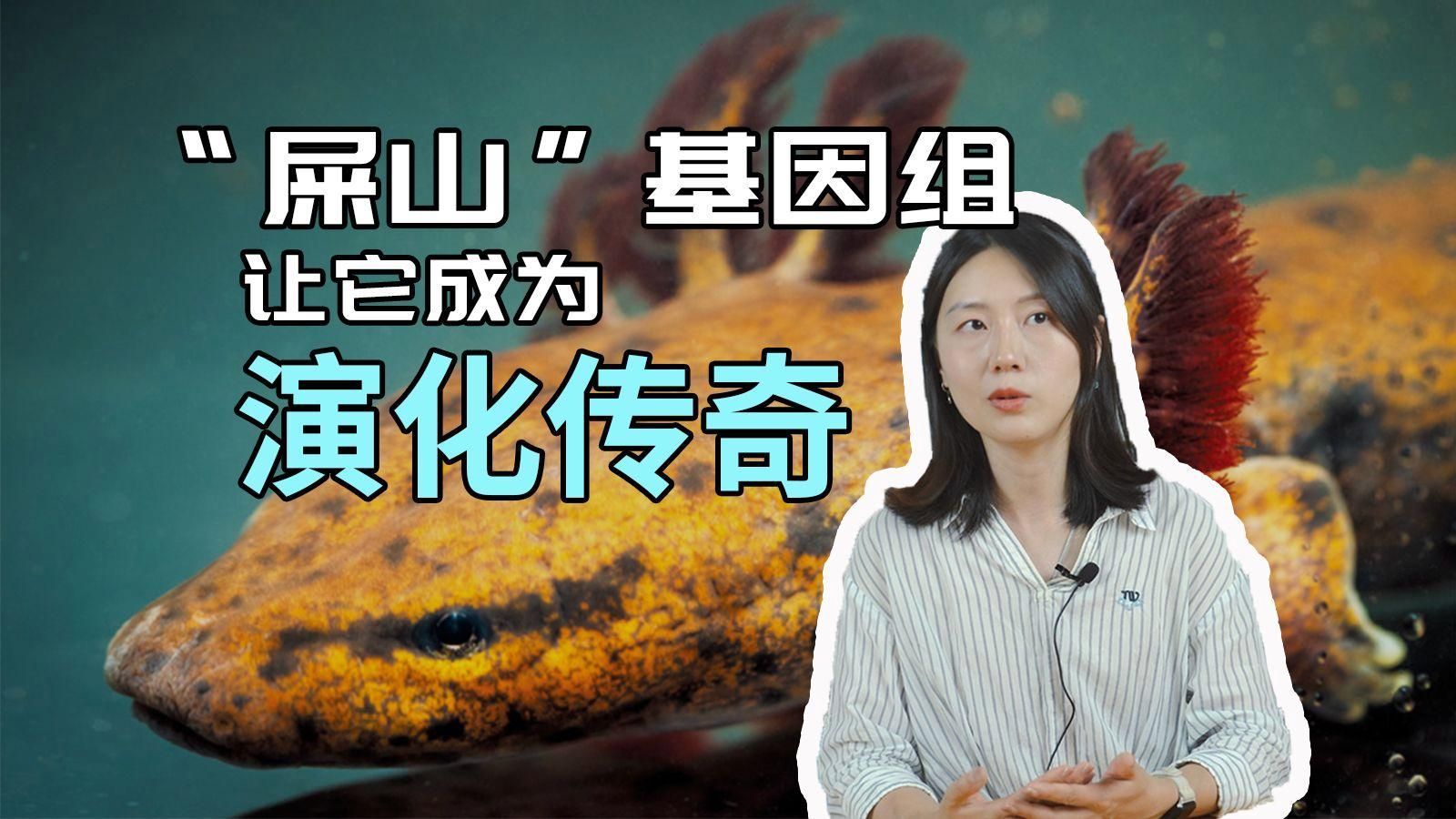 蠑螈和大鯢哪個更古老，蠑螈和大鯢哪個更古老？