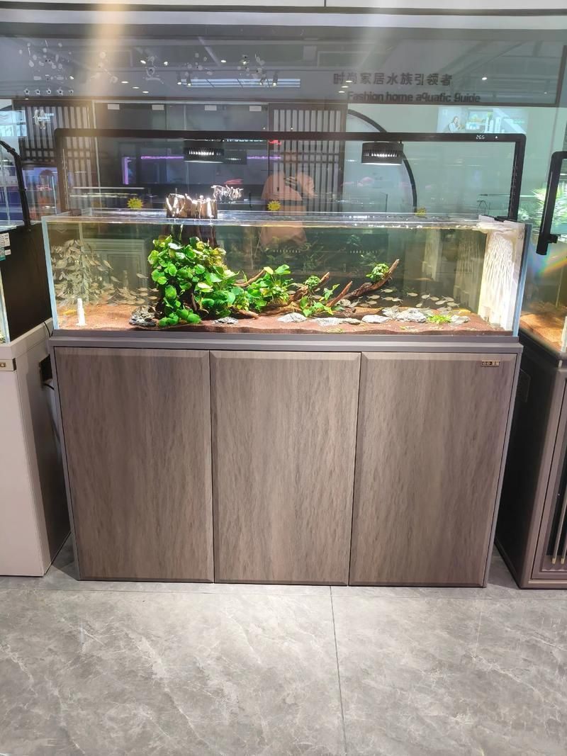 如何購買一方水族產(chǎn)品？，一方水族（yifangaqua） 如何購買一方水族產(chǎn)品？，一方水族（yifangaqua） 龍魚百科 第1張