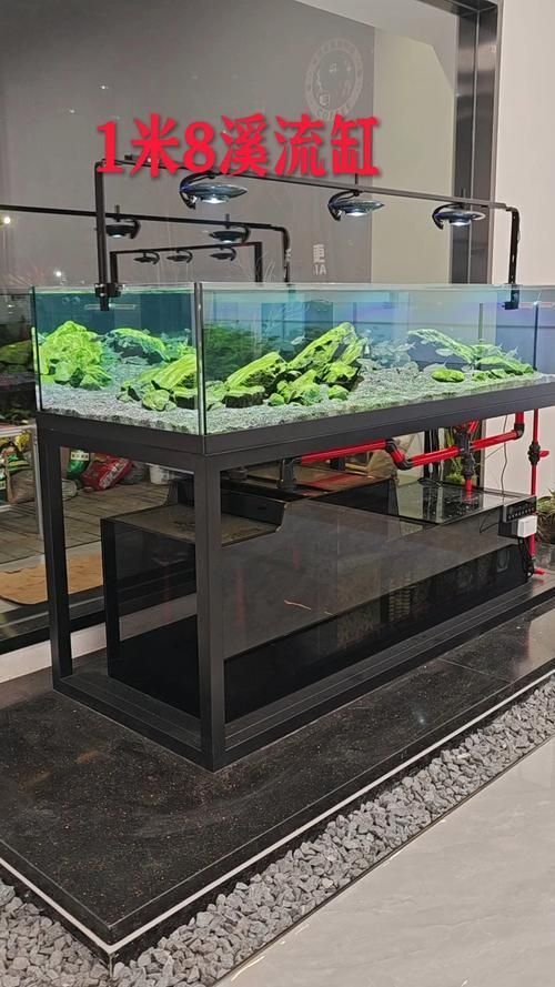 如何購買一方水族產(chǎn)品？，一方水族（yifangaqua） 如何購買一方水族產(chǎn)品？，一方水族（yifangaqua） 龍魚百科 第4張
