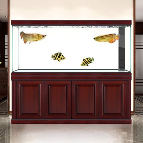 標準龍魚缸的價格范圍是多少？，福滿鉆魚哪個款式最有收藏價值福滿鉆魚哪個款式最有收藏價值 標準龍魚缸的價格范圍是多少？，福滿鉆魚哪個款式最有收藏價值福滿鉆魚哪個款式最有收藏價值 龍魚百科 第1張