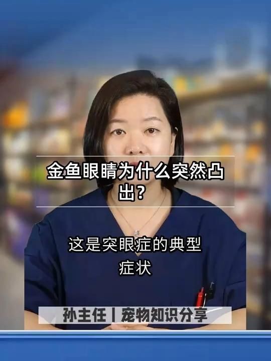 魚突眼能自愈嗎，養魚筆記之魚突眼 魚突眼能自愈嗎，養魚筆記之魚突眼 龍魚百科 第2張
