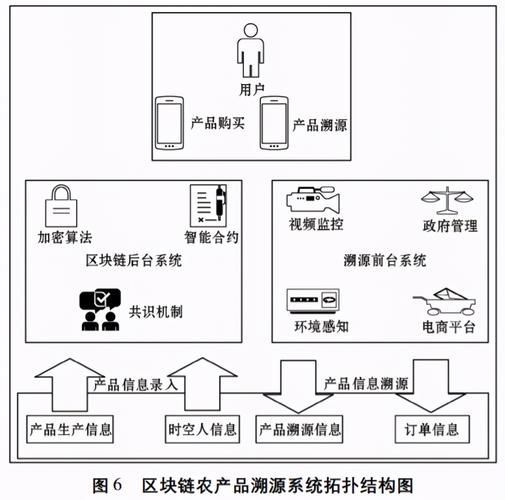 能否詳細解釋區(qū)塊鏈溯源系統(tǒng)，區(qū)塊鏈溯源系統(tǒng) 能否詳細解釋區(qū)塊鏈溯源系統(tǒng)，區(qū)塊鏈溯源系統(tǒng) 龍魚百科 第4張