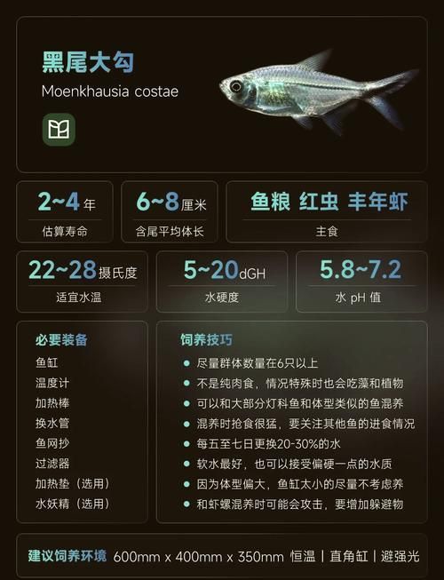 龍魚攻擊黑尾大勾后如何處理？，用戶要求詳解龍魚攻擊黑尾大勾后如何處理，需提供1000字左右的詳細說明并配圖 龍魚攻擊黑尾大勾后如何處理？，用戶要求詳解龍魚攻擊黑尾大勾后如何處理，需提供1000字左右的詳細說明并配圖 龍魚百科 第6張