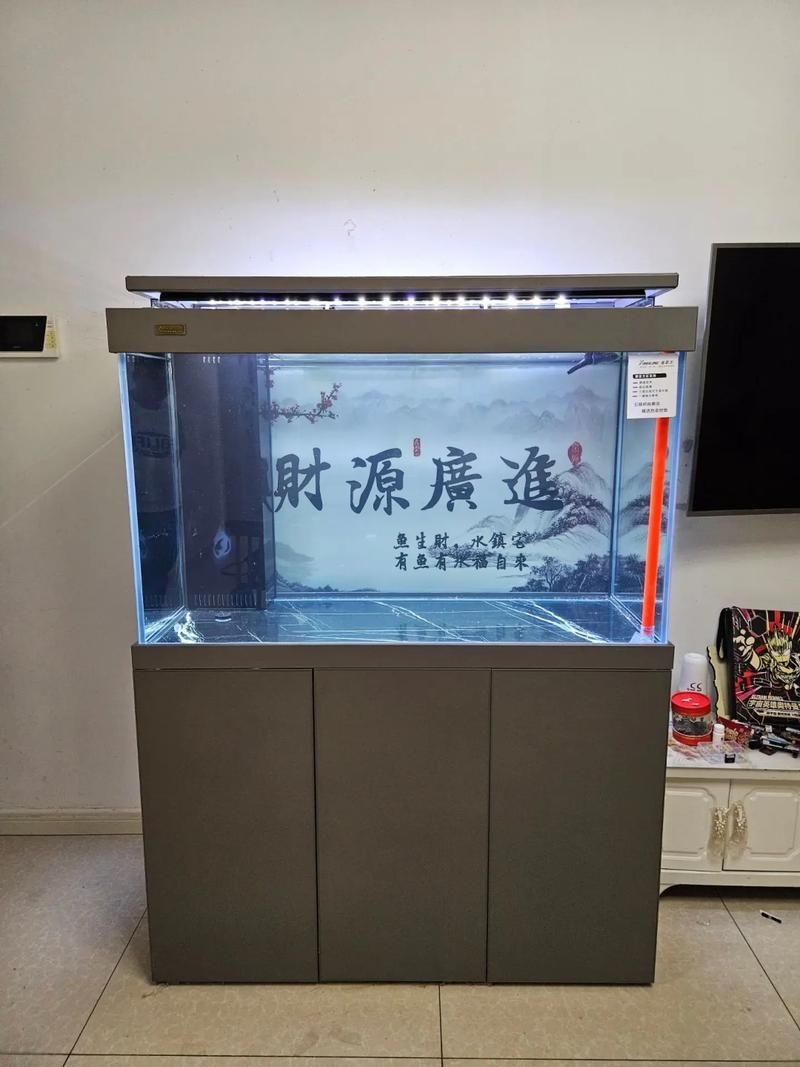 祥龍魚場推薦的具體龍魚缸尺寸是多少？，祥龍魚場推薦的龍魚缸尺寸為1.2米*0.5米 祥龍魚場推薦的具體龍魚缸尺寸是多少？，祥龍魚場推薦的龍魚缸尺寸為1.2米*0.5米 龍魚百科 第2張