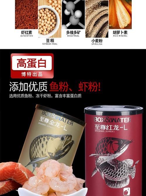 如何判斷龍魚顆粒飼料的沉浮性？，如何判斷龍魚顆粒飼料沉浮性 如何判斷龍魚顆粒飼料的沉浮性？，如何判斷龍魚顆粒飼料沉浮性 龍魚百科 第4張