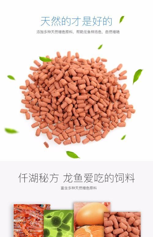 如何判斷龍魚顆粒飼料的沉浮性？，如何判斷龍魚顆粒飼料沉浮性 如何判斷龍魚顆粒飼料的沉浮性？，如何判斷龍魚顆粒飼料沉浮性 龍魚百科 第1張