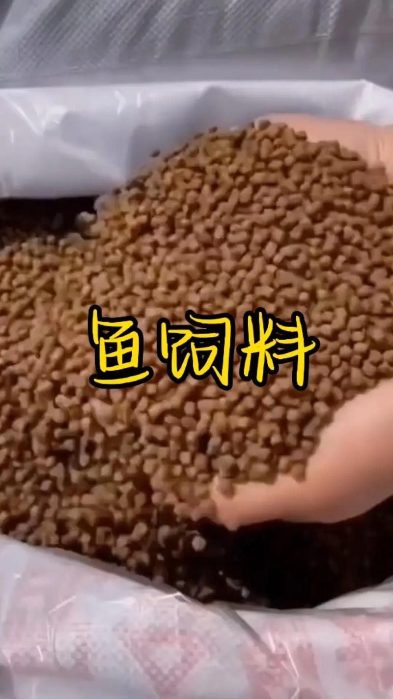 如何判斷龍魚顆粒飼料的沉浮性？，如何判斷龍魚顆粒飼料沉浮性 如何判斷龍魚顆粒飼料的沉浮性？，如何判斷龍魚顆粒飼料沉浮性 龍魚百科 第5張