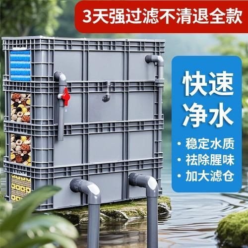 祥龍魚場過濾系統(tǒng)有哪些品牌推薦？，西安祥龍魚場過濾系統(tǒng)養(yǎng)殖環(huán)境設(shè)計(jì)的高性價(jià)比選擇 祥龍魚場過濾系統(tǒng)有哪些品牌推薦？，西安祥龍魚場過濾系統(tǒng)養(yǎng)殖環(huán)境設(shè)計(jì)的高性價(jià)比選擇 龍魚百科 第5張