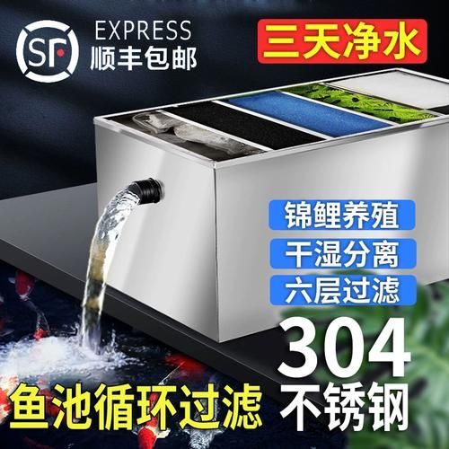 祥龍魚場過濾系統(tǒng)有哪些品牌推薦？，西安祥龍魚場過濾系統(tǒng)養(yǎng)殖環(huán)境設(shè)計(jì)的高性價(jià)比選擇 祥龍魚場過濾系統(tǒng)有哪些品牌推薦？，西安祥龍魚場過濾系統(tǒng)養(yǎng)殖環(huán)境設(shè)計(jì)的高性價(jià)比選擇 龍魚百科 第4張