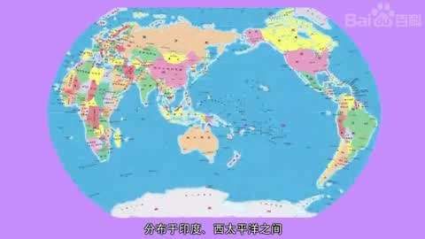 七彩龍魚和銀龍魚哪個更漂亮？，七彩龍魚與銀龍魚的區別 七彩龍魚和銀龍魚哪個更漂亮？，七彩龍魚與銀龍魚的區別 龍魚百科