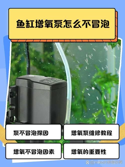 魚浮頭后如何護理 魚浮頭后如何護理 龍魚百科 第10張