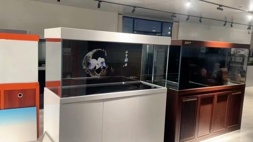 如何判斷龍魚缸的質量好壞，判斷龍魚缸的質量好壞，關鍵在于結構安全、材質可靠 如何判斷龍魚缸的質量好壞，判斷龍魚缸的質量好壞，關鍵在于結構安全、材質可靠 龍魚百科 第11張