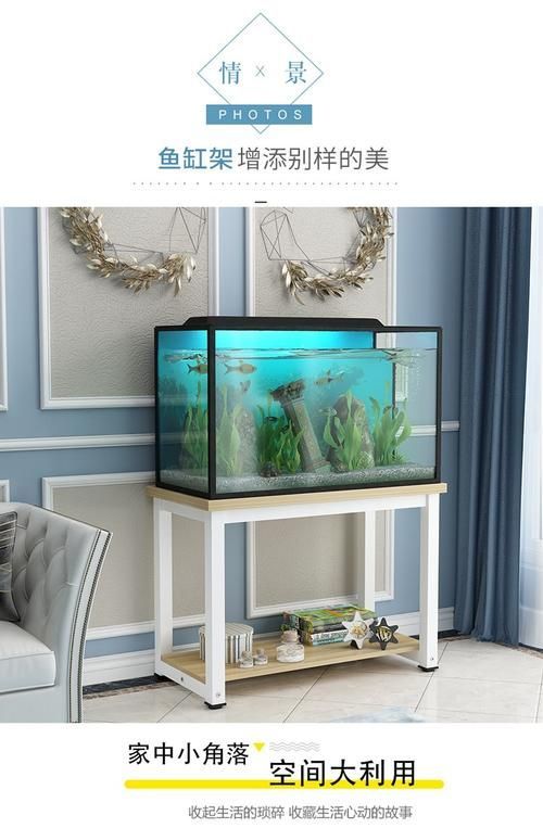 如何判斷龍魚缸的質量好壞，判斷龍魚缸的質量好壞，關鍵在于結構安全、材質可靠 如何判斷龍魚缸的質量好壞，判斷龍魚缸的質量好壞，關鍵在于結構安全、材質可靠 龍魚百科 第8張