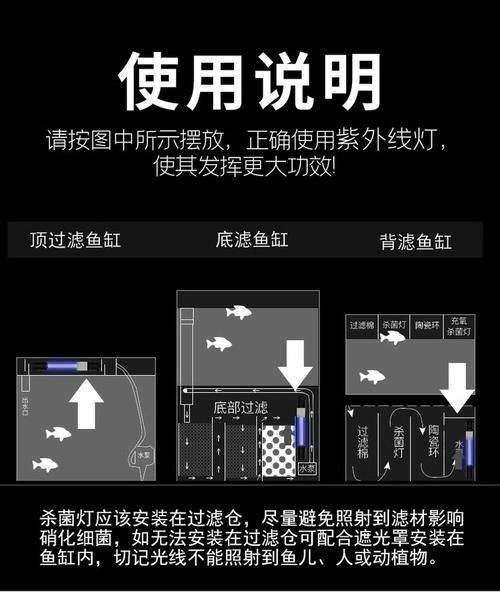 如何預防龍魚背上黑霉，如何預防龍魚背上黑霉（水霉病） 如何預防龍魚背上黑霉，如何預防龍魚背上黑霉（水霉病） 龍魚百科 第10張