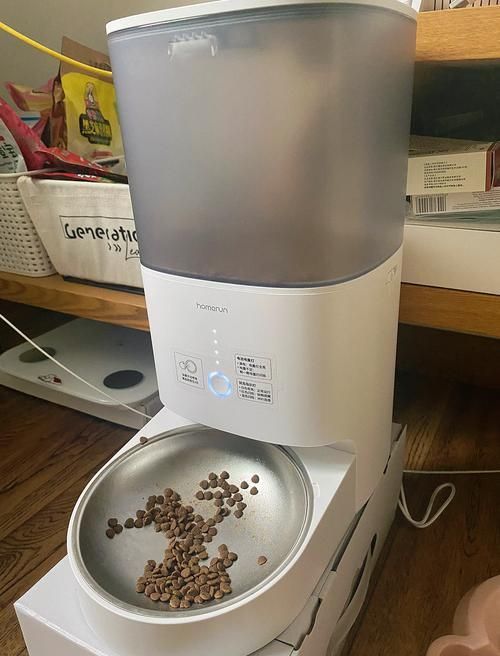 有哪些自動喂食器推薦，寵物喂食器推薦