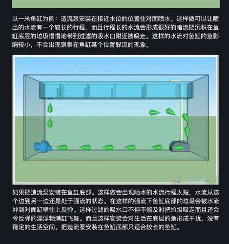 如何預(yù)防龍魚浮頭和沉尾，龍魚浮頭與沉尾的成因與預(yù)防措施 如何預(yù)防龍魚浮頭和沉尾，龍魚浮頭與沉尾的成因與預(yù)防措施 龍魚百科 第10張