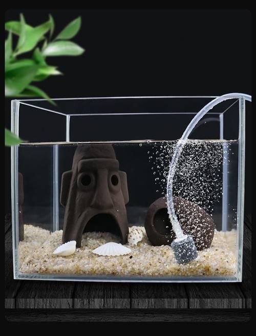 如何預(yù)防龍魚浮頭和沉尾，龍魚浮頭與沉尾的成因與預(yù)防措施 如何預(yù)防龍魚浮頭和沉尾，龍魚浮頭與沉尾的成因與預(yù)防措施 龍魚百科 第6張