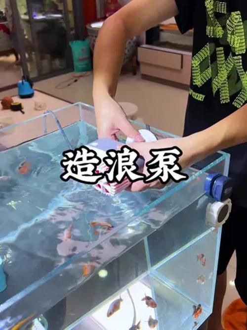 如何預(yù)防龍魚浮頭和沉尾，龍魚浮頭與沉尾的成因與預(yù)防措施 如何預(yù)防龍魚浮頭和沉尾，龍魚浮頭與沉尾的成因與預(yù)防措施 龍魚百科 第11張