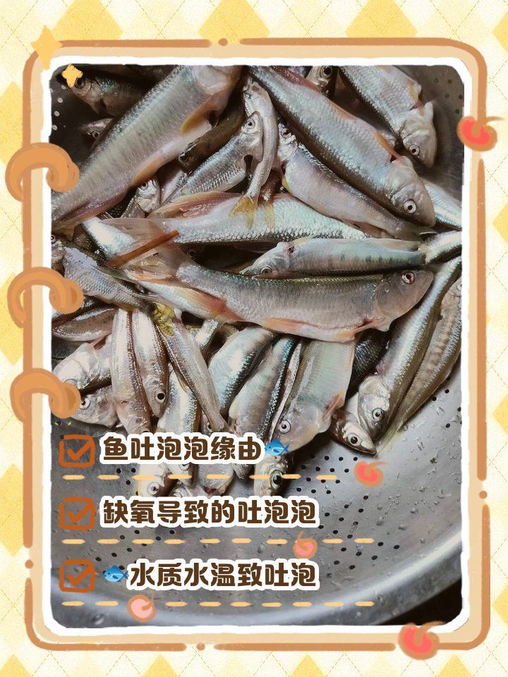 如何預(yù)防龍魚浮頭和沉尾，龍魚浮頭與沉尾的成因與預(yù)防措施 如何預(yù)防龍魚浮頭和沉尾，龍魚浮頭與沉尾的成因與預(yù)防措施 龍魚百科 第13張