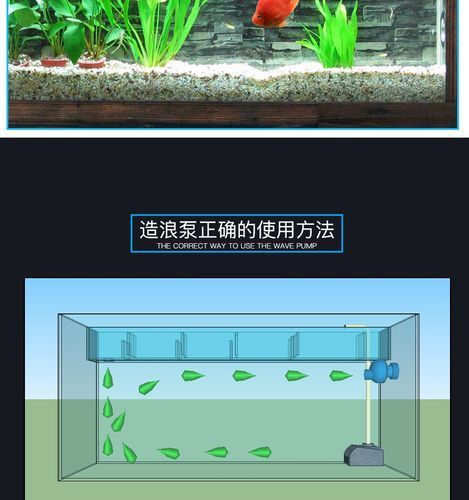 如何預(yù)防龍魚浮頭和沉尾，龍魚浮頭與沉尾的成因與預(yù)防措施 如何預(yù)防龍魚浮頭和沉尾，龍魚浮頭與沉尾的成因與預(yù)防措施 龍魚百科 第9張