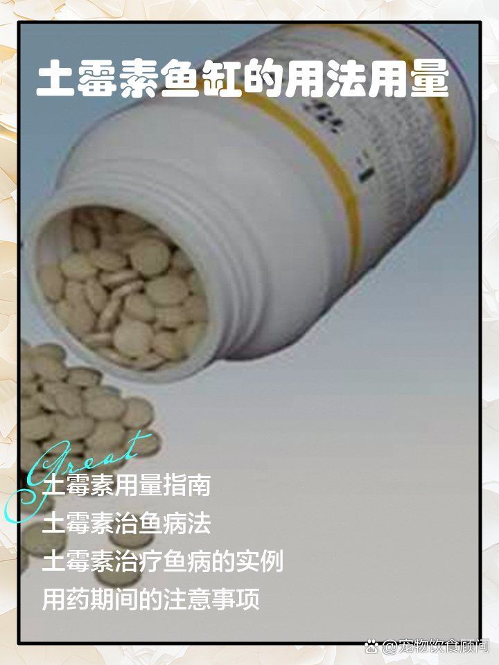 龍魚交叉感染后如何治療