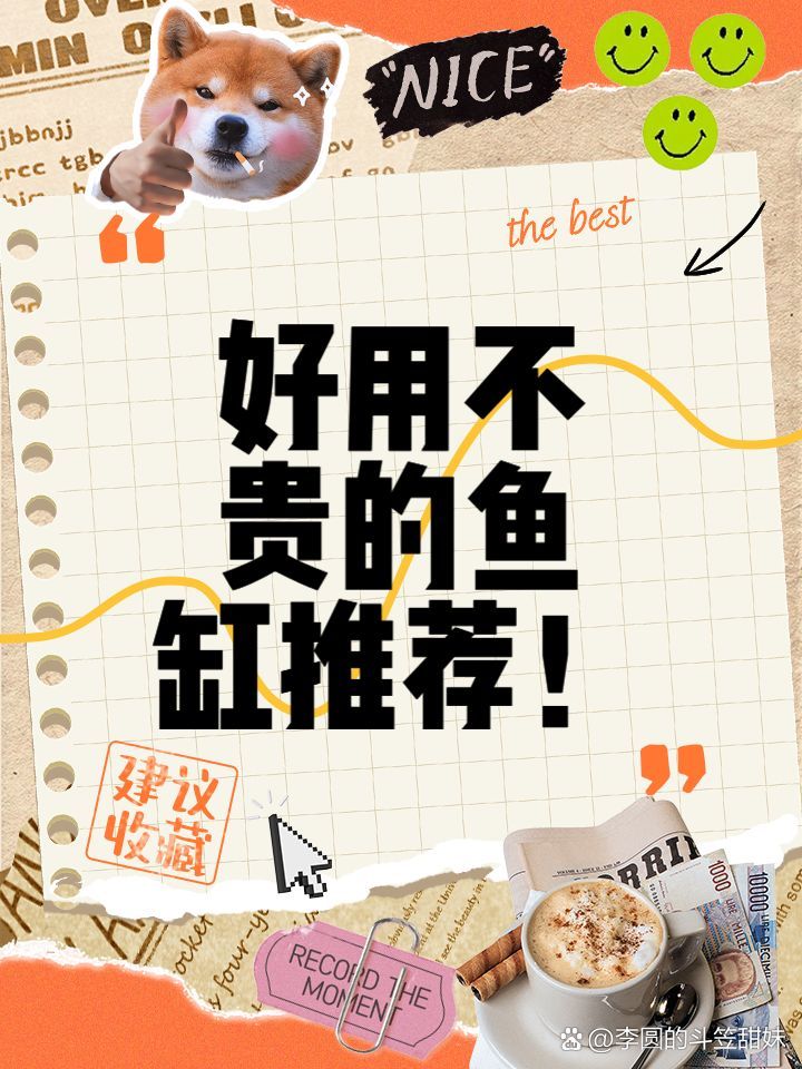 這些魚缸中哪款性價比最高？，家庭魚缸選擇 這些魚缸中哪款性價比最高？，家庭魚缸選擇 龍魚百科 第7張