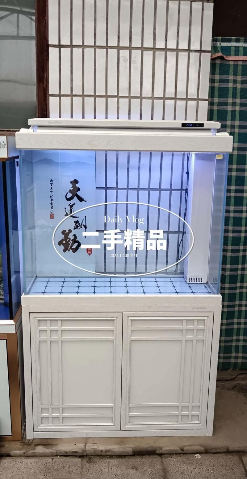 這些魚缸中哪款性價比最高？，家庭魚缸選擇 這些魚缸中哪款性價比最高？，家庭魚缸選擇 龍魚百科 第4張