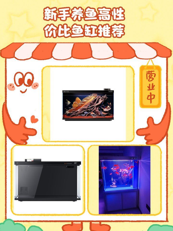 這些魚缸中哪款性價比最高？，家庭魚缸選擇 這些魚缸中哪款性價比最高？，家庭魚缸選擇 龍魚百科 第8張