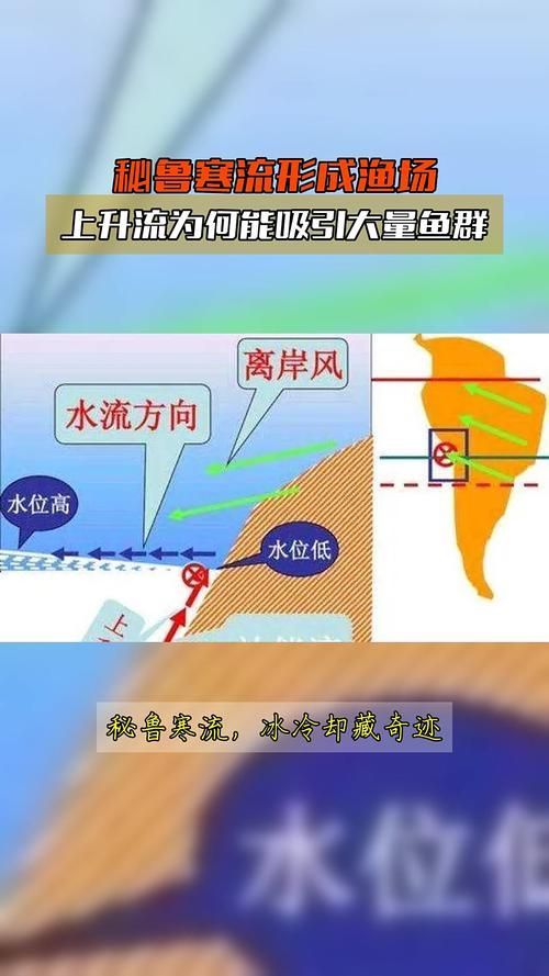 四大品牌中哪個漁場產量最高?,世界四大漁場產量對比 龍魚百科 第2張 四大品牌中哪個漁場產量最高?,世界四大漁場產量對比 四大品牌中哪個漁場產量最高?,世界四大漁場產量對比 龍魚百科 第2張