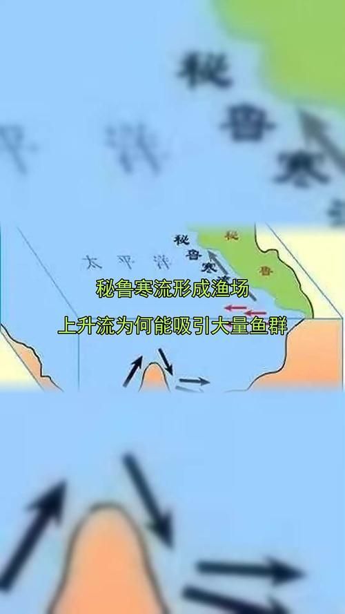 四大品牌中哪個漁場產量最高?,世界四大漁場產量對比 龍魚百科 第1張 四大品牌中哪個漁場產量最高?,世界四大漁場產量對比 四大品牌中哪個漁場產量最高?,世界四大漁場產量對比 龍魚百科 第1張