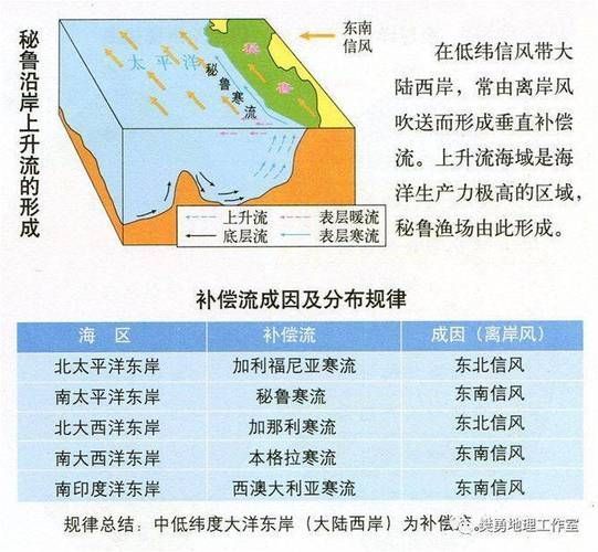 四大品牌中哪個漁場產量最高?,世界四大漁場產量對比 龍魚百科 第4張 四大品牌中哪個漁場產量最高?,世界四大漁場產量對比 四大品牌中哪個漁場產量最高?,世界四大漁場產量對比 龍魚百科 第4張