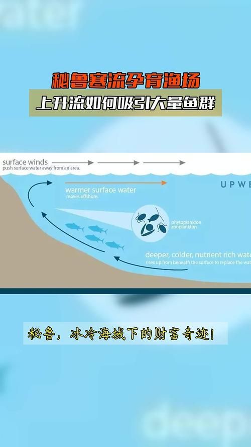 四大品牌中哪個漁場產量最高?,世界四大漁場產量對比 龍魚百科 第3張 四大品牌中哪個漁場產量最高?,世界四大漁場產量對比 四大品牌中哪個漁場產量最高?,世界四大漁場產量對比 龍魚百科 第3張