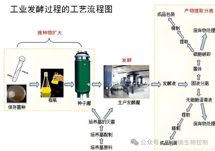 如何提升魚體自身抵抗力，——益生菌水產(chǎn)養(yǎng)殖中的益生菌水產(chǎn)養(yǎng)殖 如何提升魚體自身抵抗力，——益生菌水產(chǎn)養(yǎng)殖中的益生菌水產(chǎn)養(yǎng)殖 龍魚百科 第8張