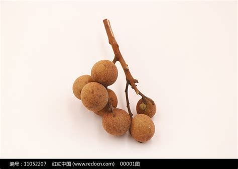 玻璃做魚缸怎么粘才牢固:如何自制玻璃魚缸 龍睛爛尾會傳染嗎,龍眼爛尾會傳染嗎? 龍魚百科 龍睛爛尾會傳染嗎,龍眼爛尾會傳染嗎? 龍睛爛尾會傳染嗎,龍眼爛尾會傳染嗎? 龍魚百科