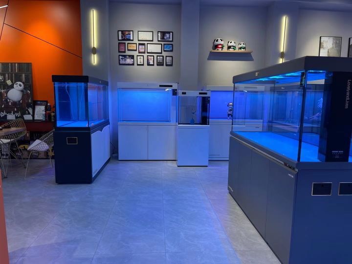 祥龍魚場的地址在哪里？，祥龍魚場的詳細地址如何查詢？ 祥龍魚場的地址在哪里？，祥龍魚場的詳細地址如何查詢？ 龍魚百科