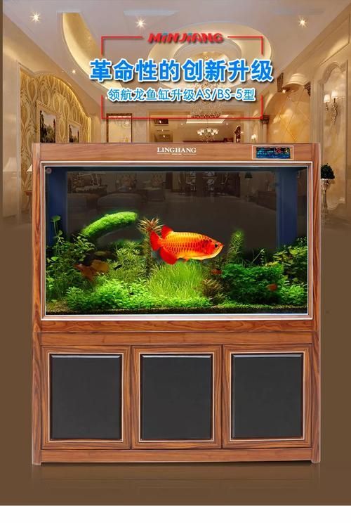 有哪些知名的高端龍魚缸品牌？，知名的高端龍魚缸品牌