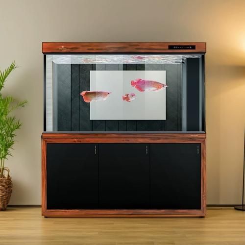 有哪些知名的高端龍魚缸品牌？，知名的高端龍魚缸品牌