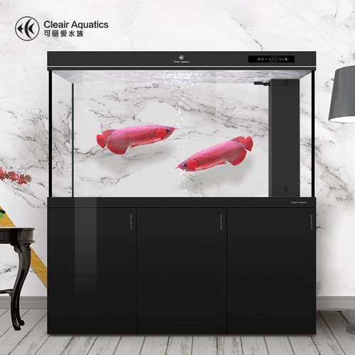 可麗愛CAG系列有哪些型號？，可麗愛cag系列的主要型號 可麗愛CAG系列有哪些型號？，可麗愛cag系列的主要型號 龍魚百科 第3張