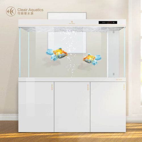 可麗愛CAG系列有哪些型號？，可麗愛cag系列的主要型號 可麗愛CAG系列有哪些型號？，可麗愛cag系列的主要型號 龍魚百科 第1張