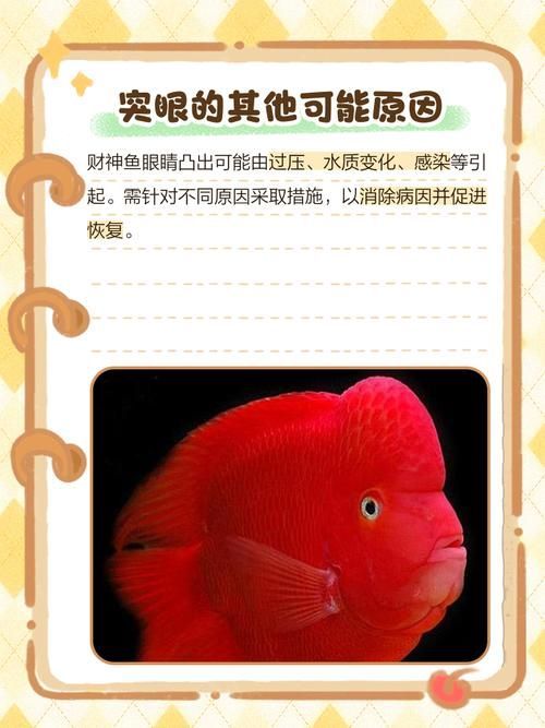 如何預防魚突眼的發生,exophthalmia養殖魚突眼的預防指南 龍魚百科 第5張 如何預防魚突眼的發生,exophthalmia養殖魚突眼的預防指南 如何預防魚突眼的發生,exophthalmia養殖魚突眼的預防指南 龍魚百科 第5張