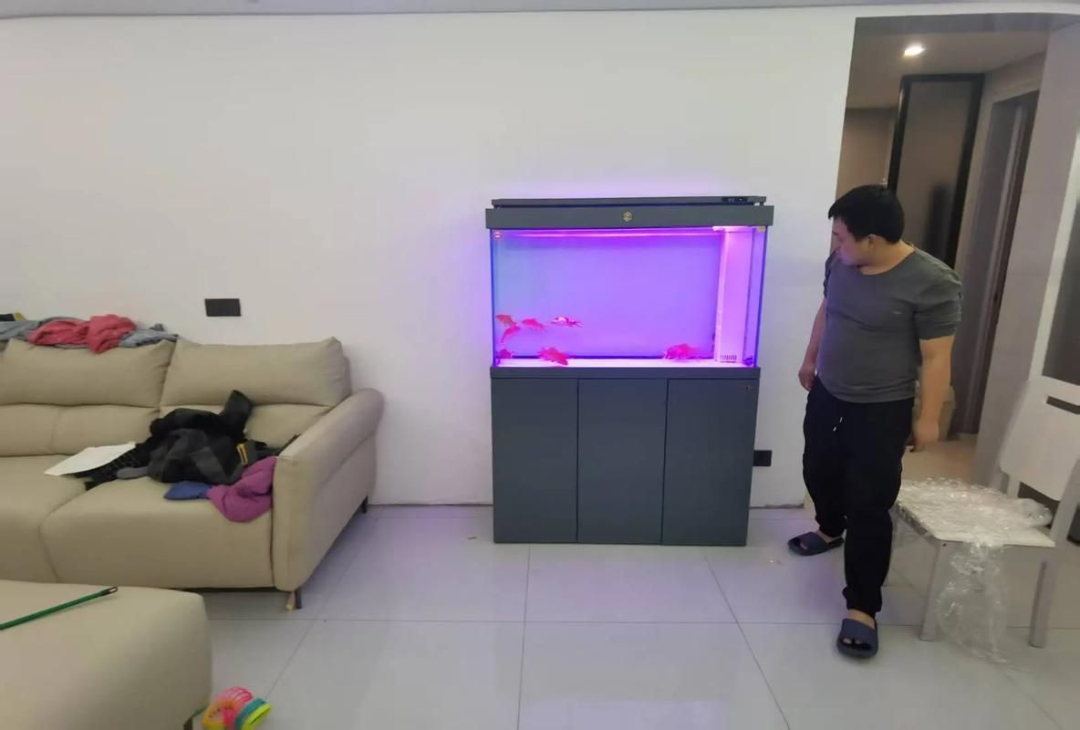 魚缸擺放有哪些具體案例，家居裝修過程中魚缸擺放的注意事項 魚缸擺放有哪些具體案例，家居裝修過程中魚缸擺放的注意事項 龍魚百科 第3張